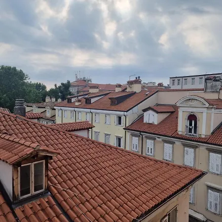 The Roofs Over